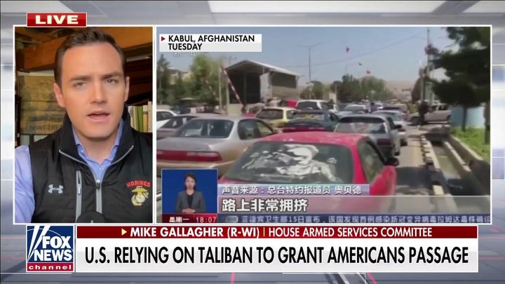 Rep. Gallagher: America is dependent upon the goodwill of the Taliban