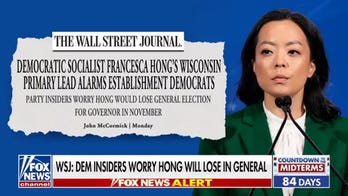 Democratic insiders sound alarm over DSA-backed candidates as primary elections loom