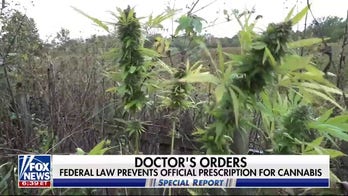 Some doctors say medical marijuana can help seniors manage pain