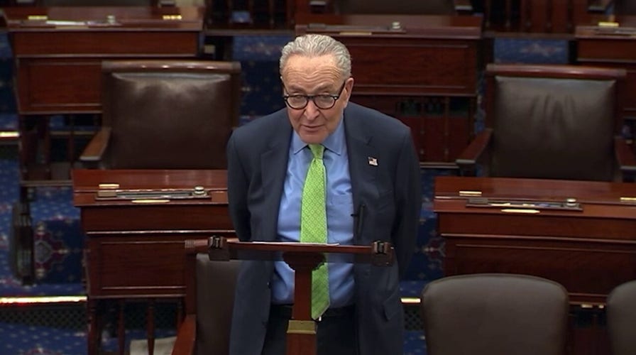 Senate Democrats admit illegal aliens participate in US elections despite opposing Republican-led voter ID legislation