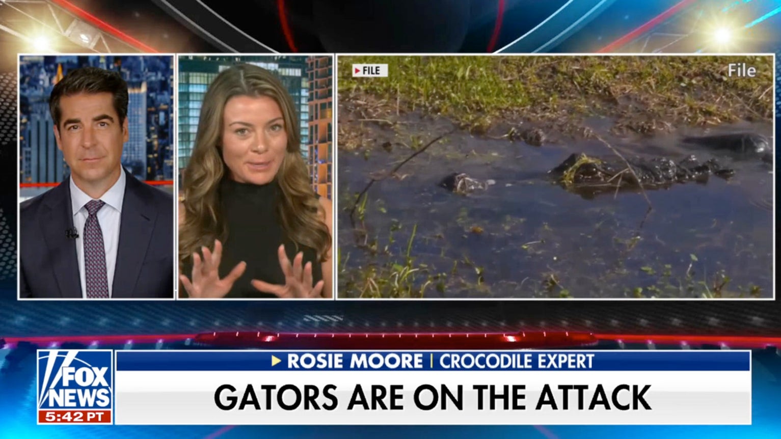 Crocodile expert speaks out on increase in gator attacks