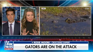 Crocodile expert speaks out on increase in gator attacks