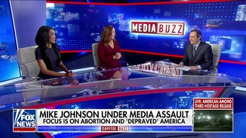 Mike Johnson under media assault