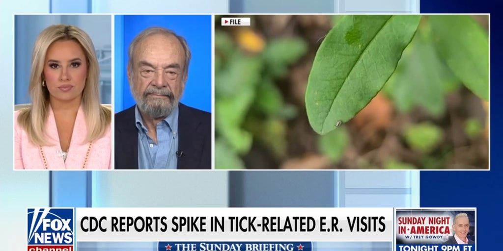 Expert warns of Alpha-gal syndrome as CDC reports spike in tick-related ER visits