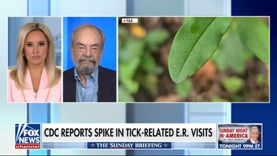 Expert warns of Alpha-gal syndrome as CDC reports spike in tick-related ER visits