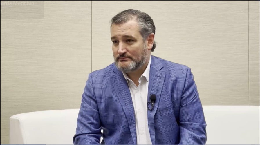 Ted Cruz warns Democrat nastiness towards Manchin could backfire