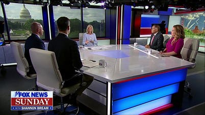 'Totally legitimate' to be concerned about AI: Mollie Hemingway