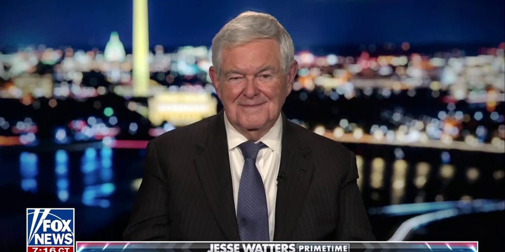 Newt Gingrich says he’s never seen the Democratic Party ‘this deranged’