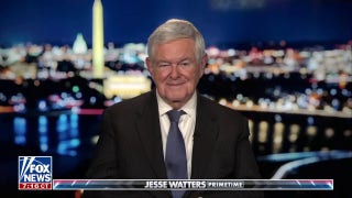Newt Gingrich says he’s never seen the Democratic Party ‘this deranged’