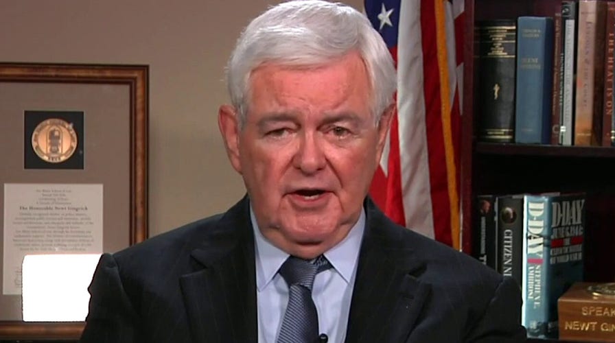 Gingrich: Looting is ‘assault on American civilization, should not be tolerated’