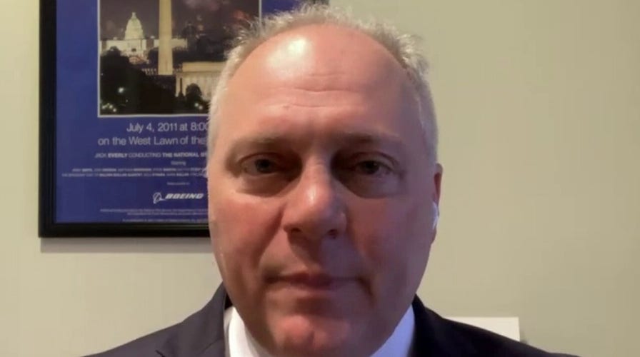 Scalise: Democrats want to 'go it alone' on 'Soviet-style dream list for the left'