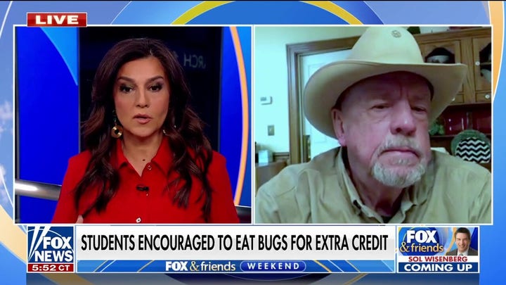 Utah teacher's climate assignment encouraging kids to eat bugs sparks backlash
