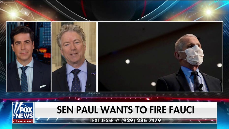 Rand Paul to introduce amendment to remove ‘petty tyrant’ Fauci from his position as NIAID director