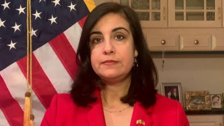 New York AG 'adds insult to injury' by suing NYPD over BLM protests: Rep. Malliotakis