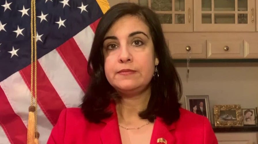New York AG 'adds insult to injury' by suing NYPD over BLM protests: Rep. Malliotakis