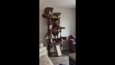 Clever puppy knocks cat's food bowl to the floor before scarfing down the spilled meal