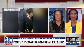 ICE deputy director blames ‘dangerous rhetoric’ from Democrats after protests at Manhattan ICE facility