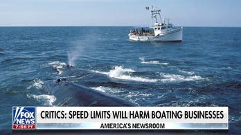 Biden environmental law would be ‘devastating’ for small boating businesses