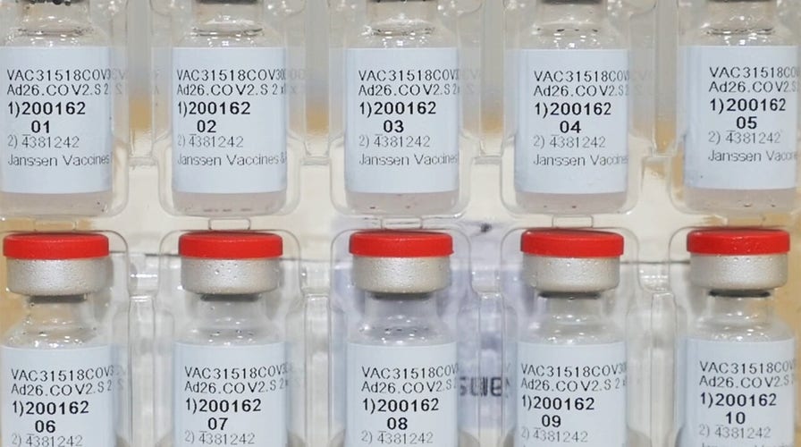 J&J chief scientific officer predicts 100 million vaccine doses by June