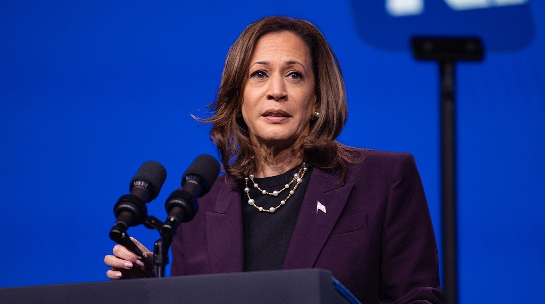 Kamala Harris' Policies: A Mystery to Virginians