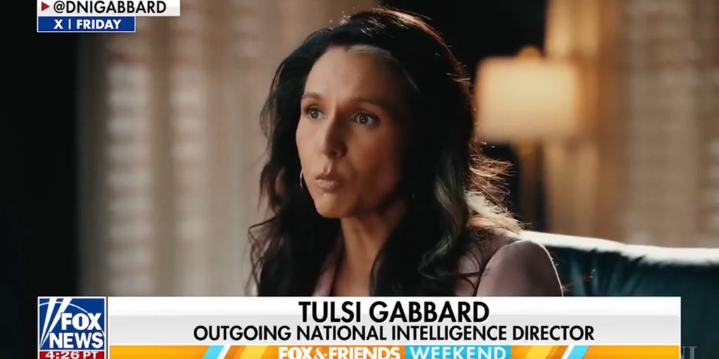Tulsi Gabbard releases declassified data on US-funded foreign biolabs