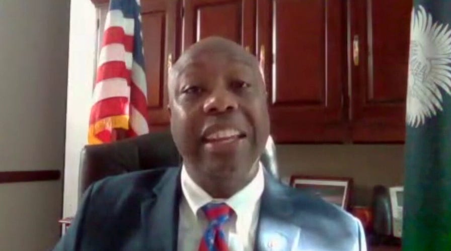 Sen. Scott on tearing down statues: Preserving America's 'ugly' history a symbol of how good it can be