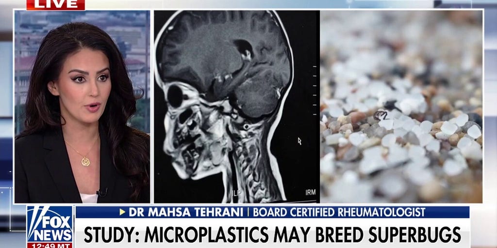 Microplastics are 'horrible' for your health: Dr. Mahsa Tehrani