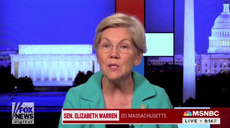 Elizabeth Warren says Biden 'should be running' for reelection in 2024