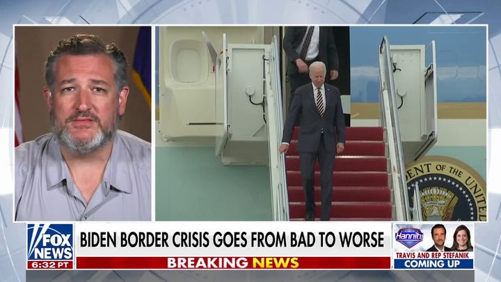 The Biden body bags keep getting worse: Ted Cruz