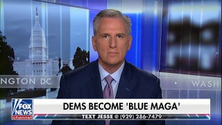 No one believes what the Democrats say: Kevin McCarthy - Fox News
