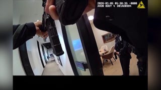 Video shows police foil brazen California luxury handbag heist worth nearly $100K