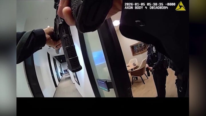 Video shows police foil brazen California luxury handbag heist worth nearly $100K