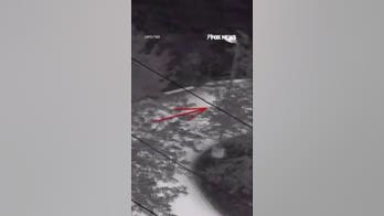 Theft suspect takes off running after police grapple brings vehicle to a stop