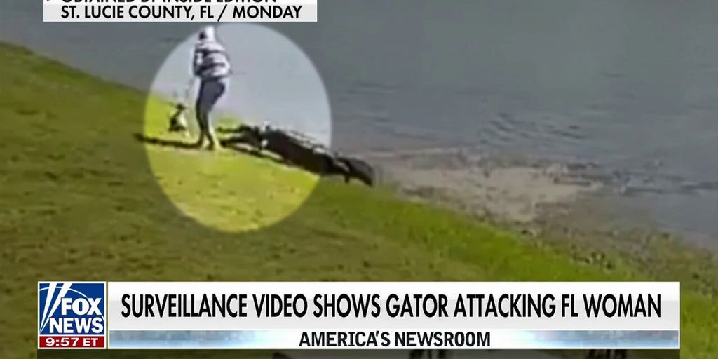On camera, 85-year-old Florida woman killed by alligator while trying to  protect her dog