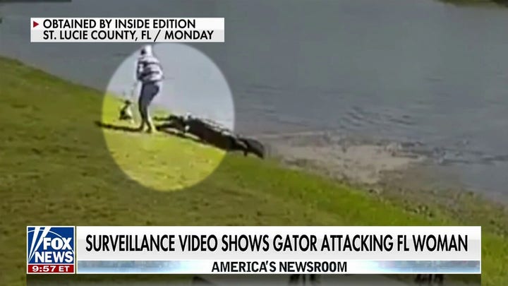 Florida woman attacked by alligator while walking her dog