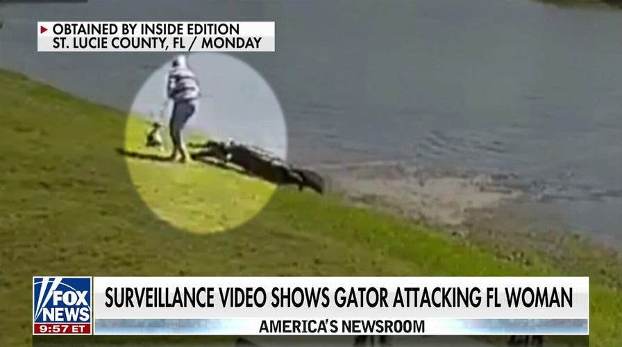 Alligator Woman Porn - Elderly Florida man had more than a ton of child porn images in his  bedroom: police | Fox News