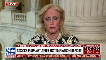 Dingell 'proud' of Democrats' progress amid red-hot August inflation report