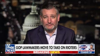 Sen Ted Cruz's new legislation would allow federal prosecutors to pursue those who fund violent riots