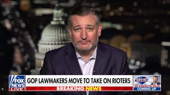 Sen Ted Cruz's new legislation would allow federal prosecutors to pursue those who fund violent riots
