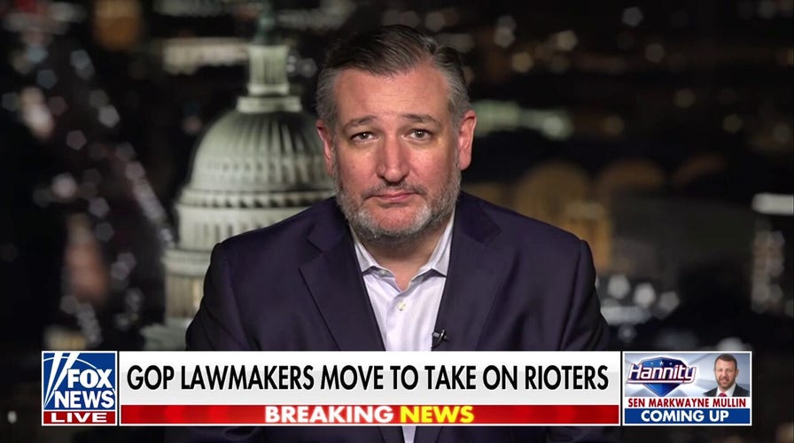 Sen Ted Cruz's new legislation would allow federal prosecutors to pursue those who fund violent riots