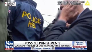 Democratic lawmakers who scuffled with ICE agents could face House discipline