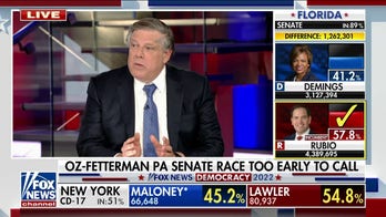 Mark Penn: Trump-backed Senate candidates are 'struggling' in their races
