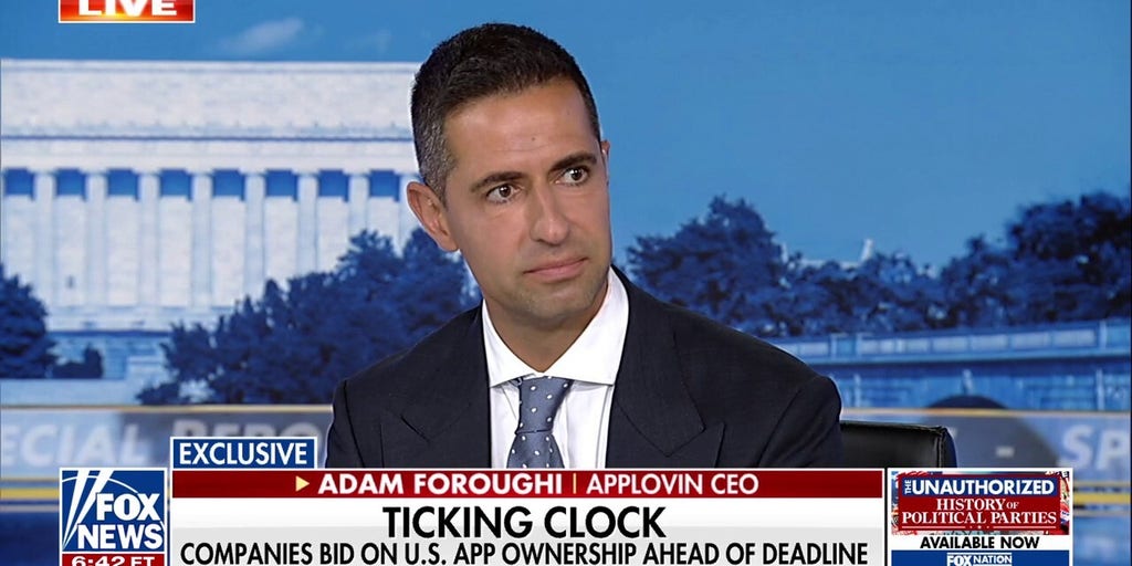 AppLovin CEO explains bid for TikTok