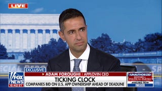 AppLovin CEO explains bid for TikTok