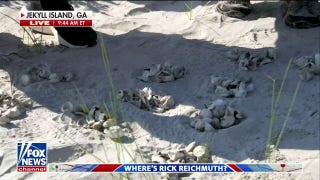 Rick Reichmuth explores sea turtle nest in Jekyll Island  - Fox News