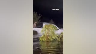 Dog rescued from pickup truck during Texas floods