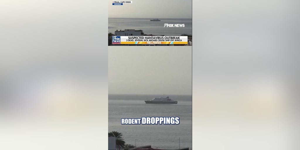 Possible Hantavirus outbreak kills at least 3 on cruise ship