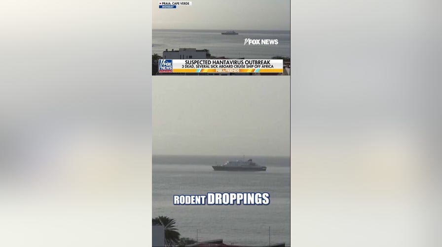 Possible Hantavirus outbreak kills at least 3 on cruise ship