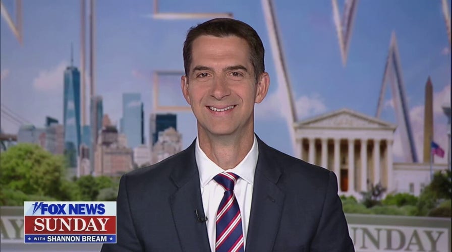 Biden officials should stop 'chasing after' Chinese counterparts like 'lovestruck teenagers': Sen. Tom Cotton