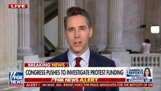 Josh Hawley on the need to crack down on funding of far-left protest groups - Fox News